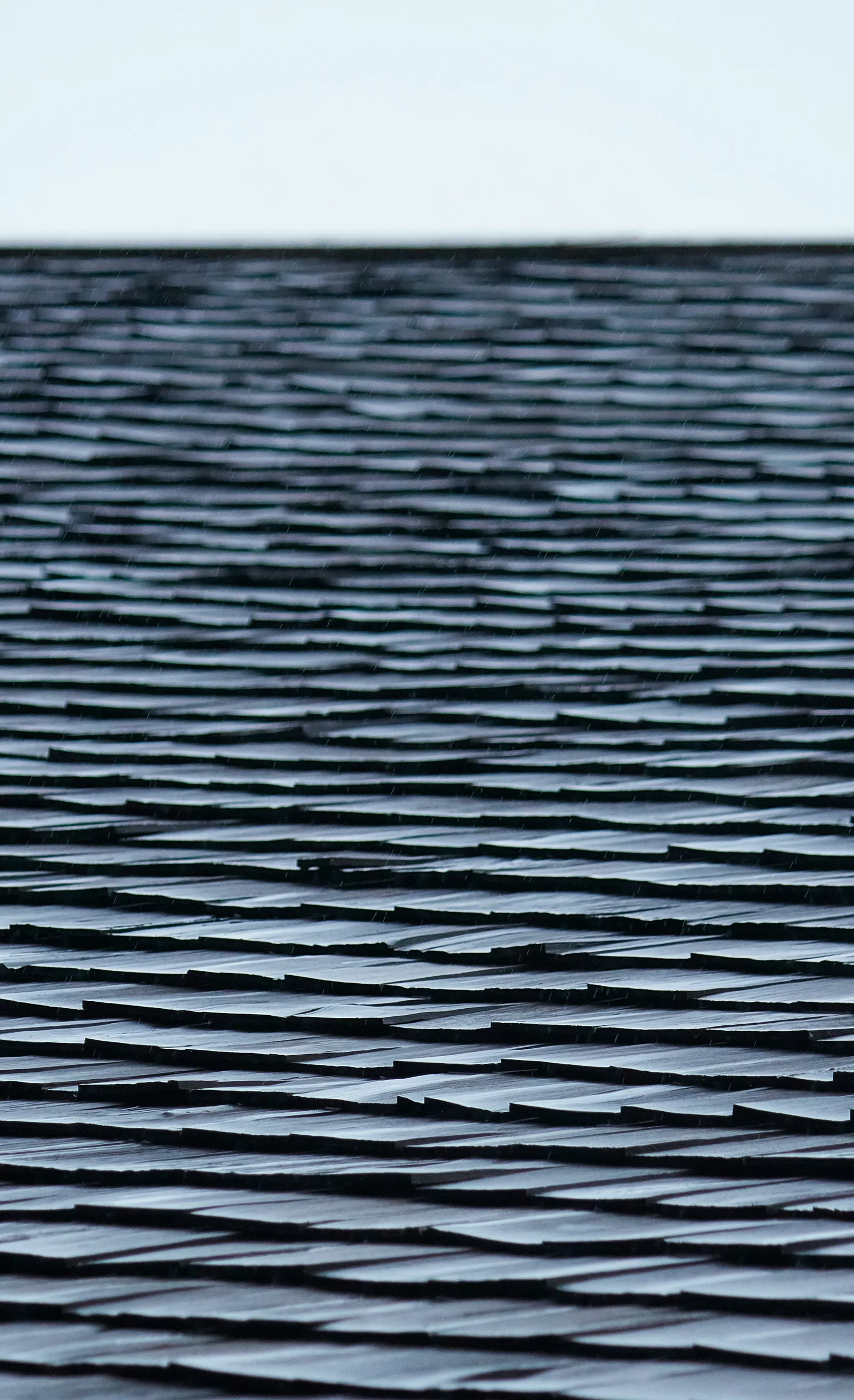 Asphalt shingle roof surface
